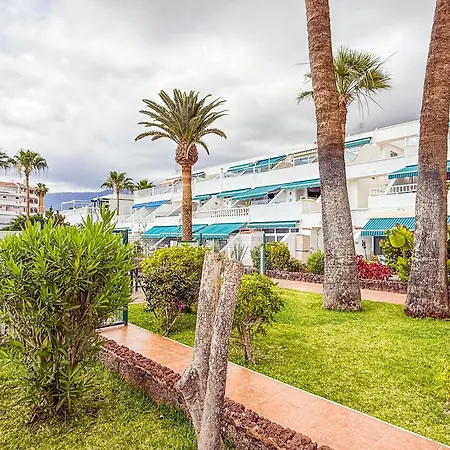 Vilaflor Junior Apartament Costa Adeje (Tenerife)